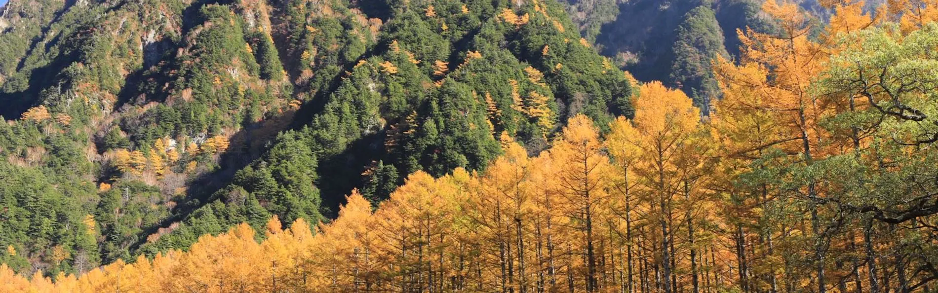 五千尺ホテル上高地