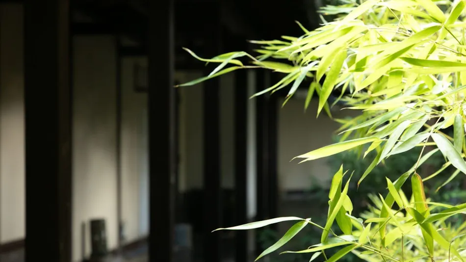 Ryokan Sugimoto