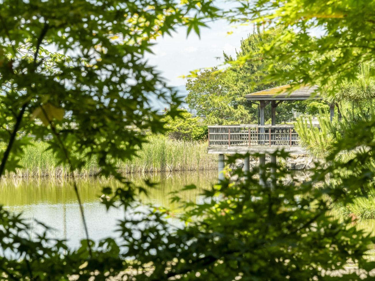 浜湖月