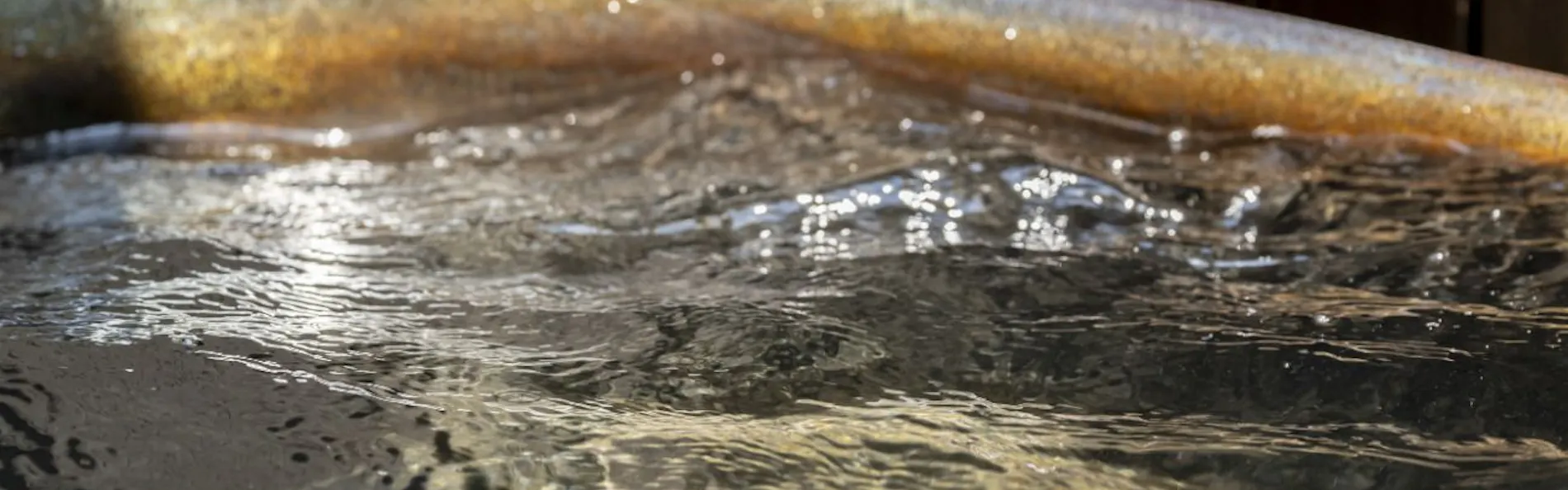 浜湖月