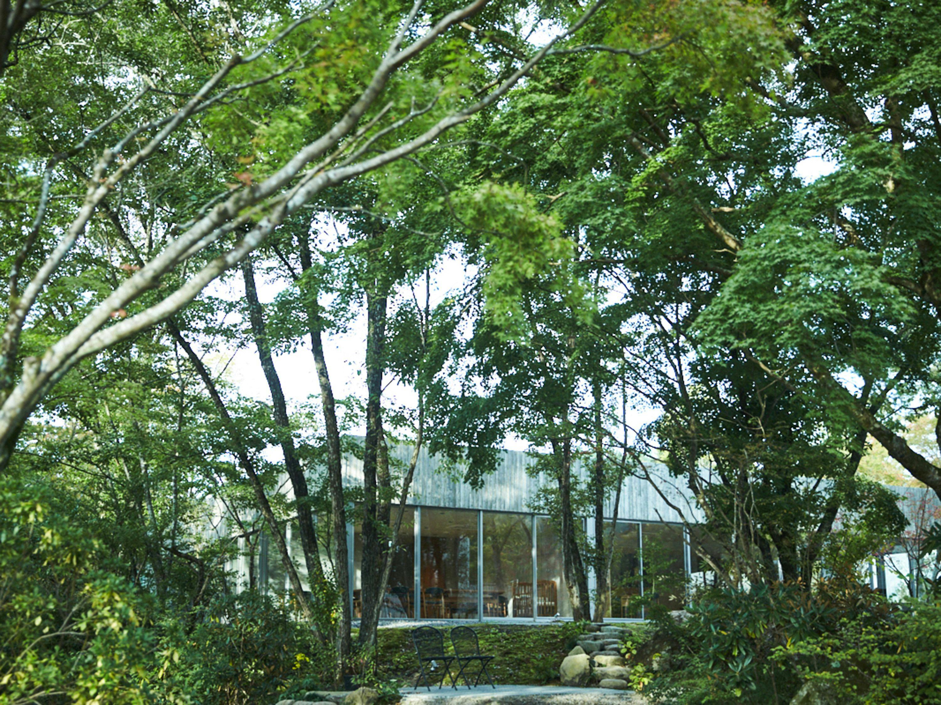 山荘　わらび野