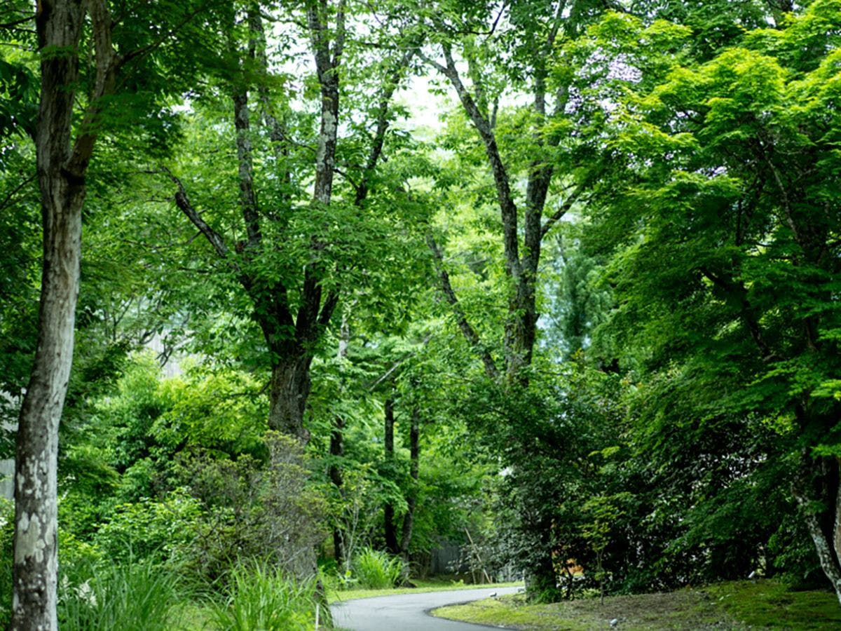 山荘　わらび野