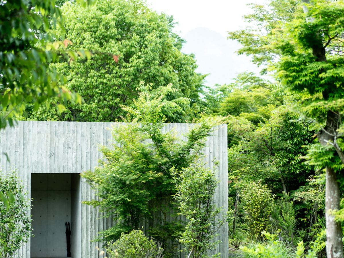 山荘　わらび野