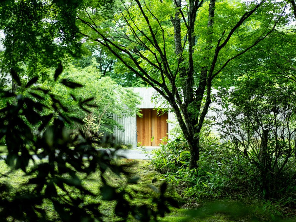山荘　わらび野