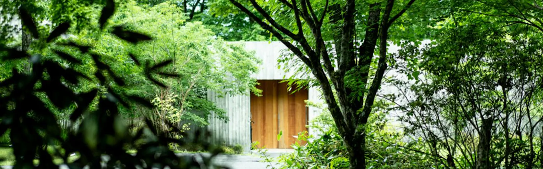 山荘 わらび野