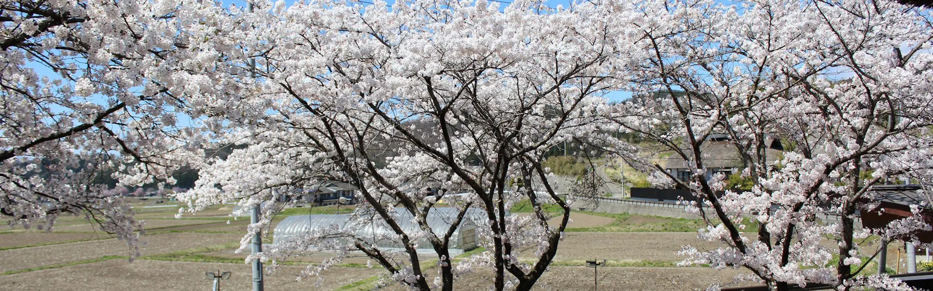 川場温泉 かやぶきの源泉湯宿 悠湯里庵