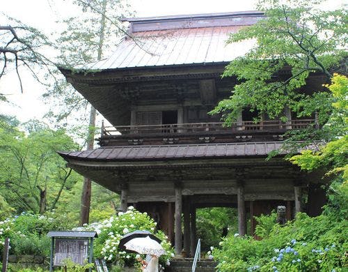 周辺観光　吉祥寺