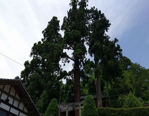 周辺観光　愛宕山