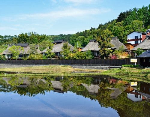 悠湯里庵前の田んぼ