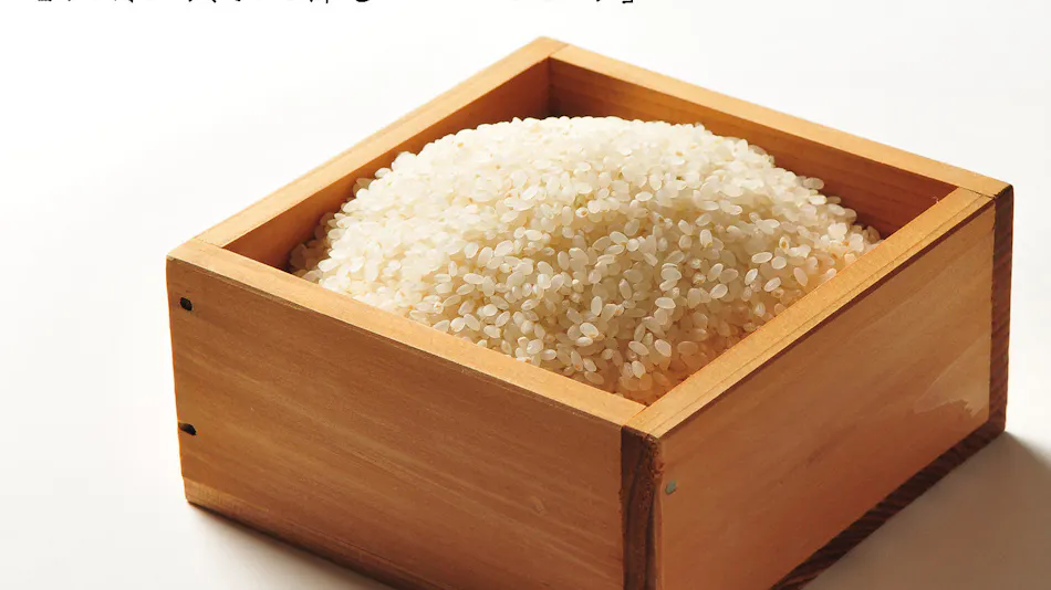 Keisetsu no Yado Syobun