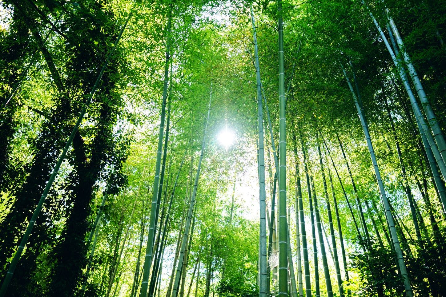 時地人- JIJIJIN Matsuyama