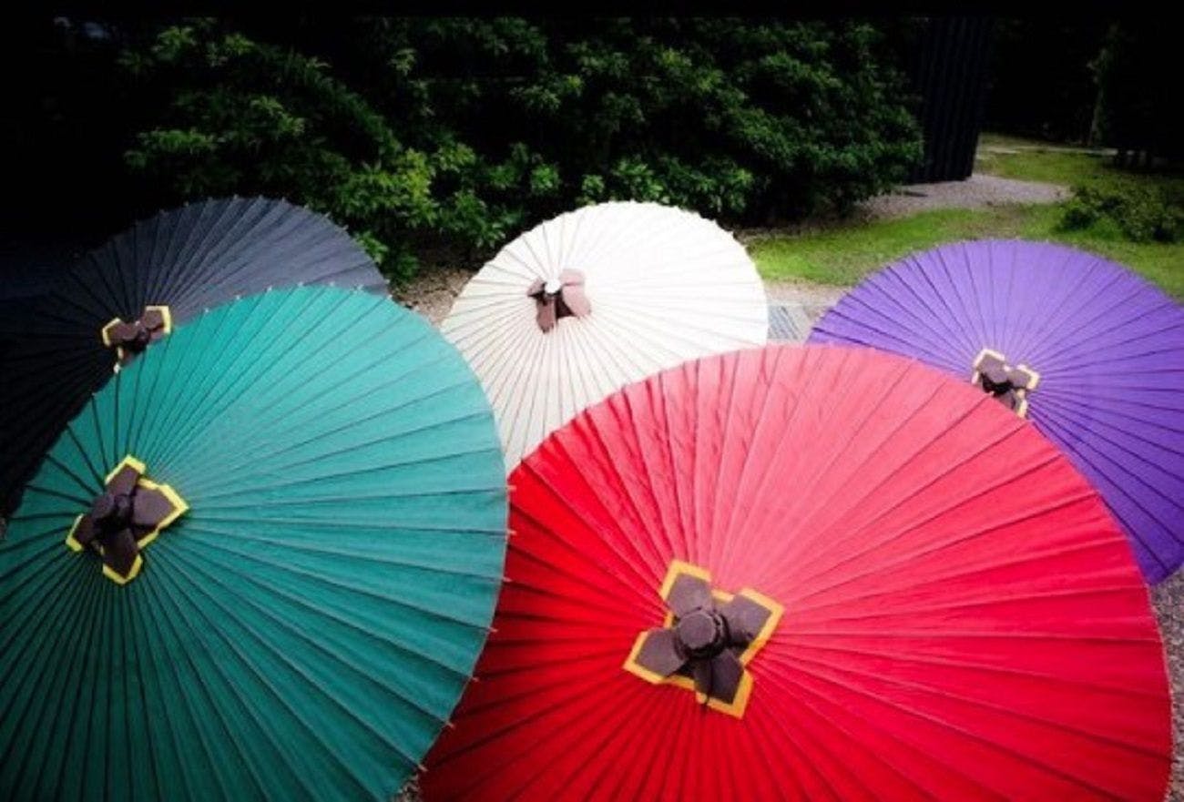 【房间的传统雨伞】