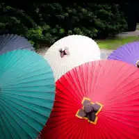 【房间的传统雨伞】