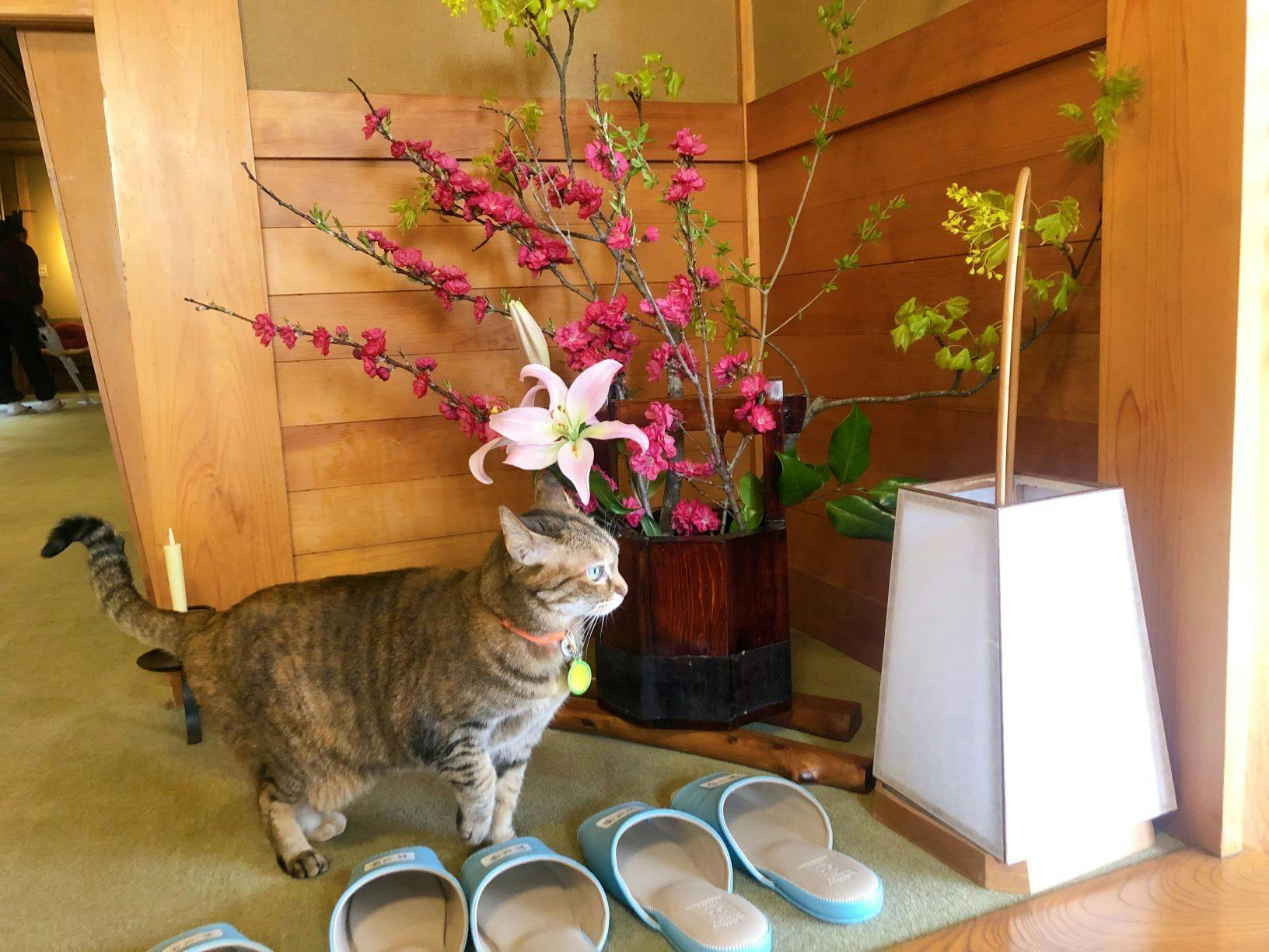 割烹旅館　さつき