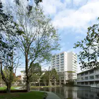 สระน้ำเมซุย