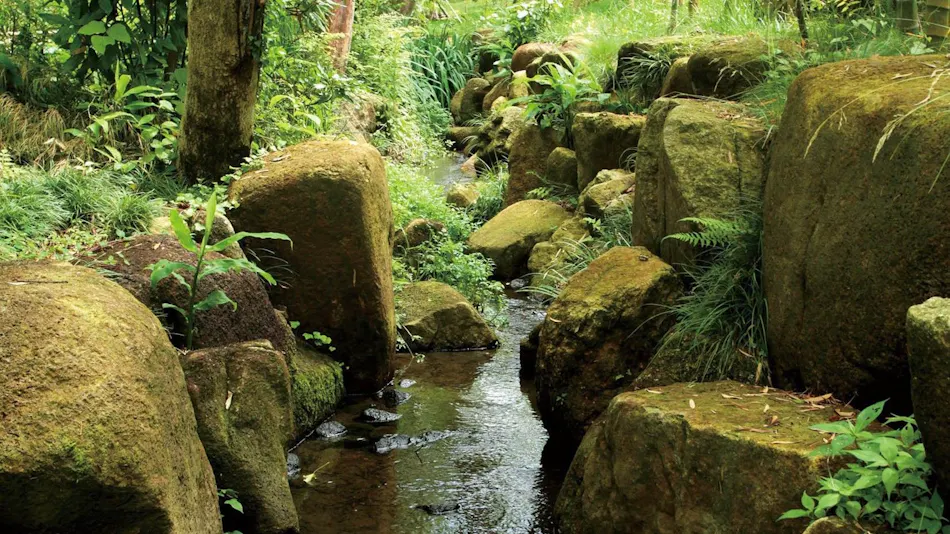Hotel Resort & Restaurant Mars Garden Wood Gotemba