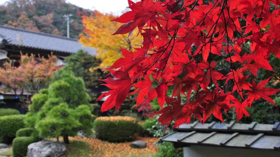 Tokiwa Annex