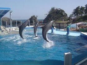 あわら温泉　まつや千千