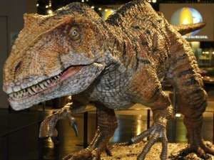 Museum Dinosaurus Provinsi