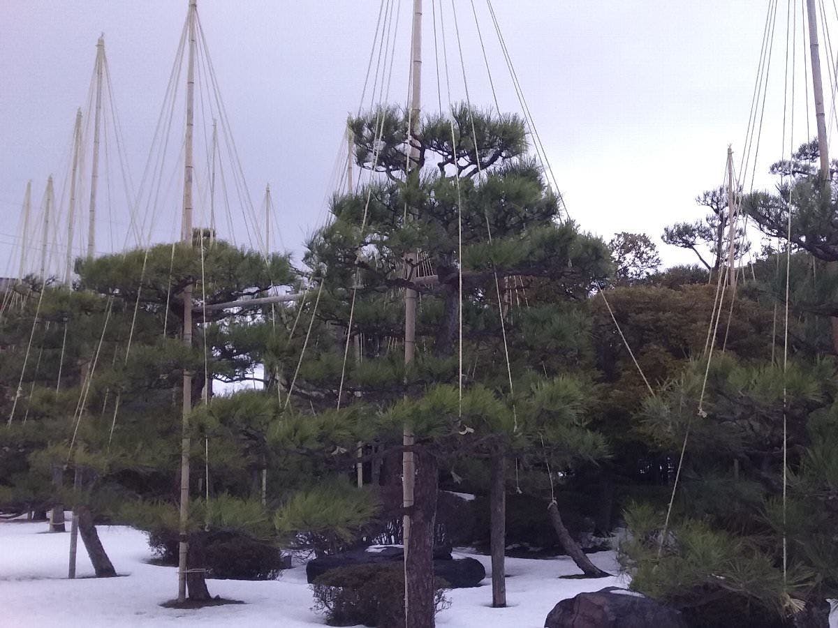 あわら温泉　まつや千千