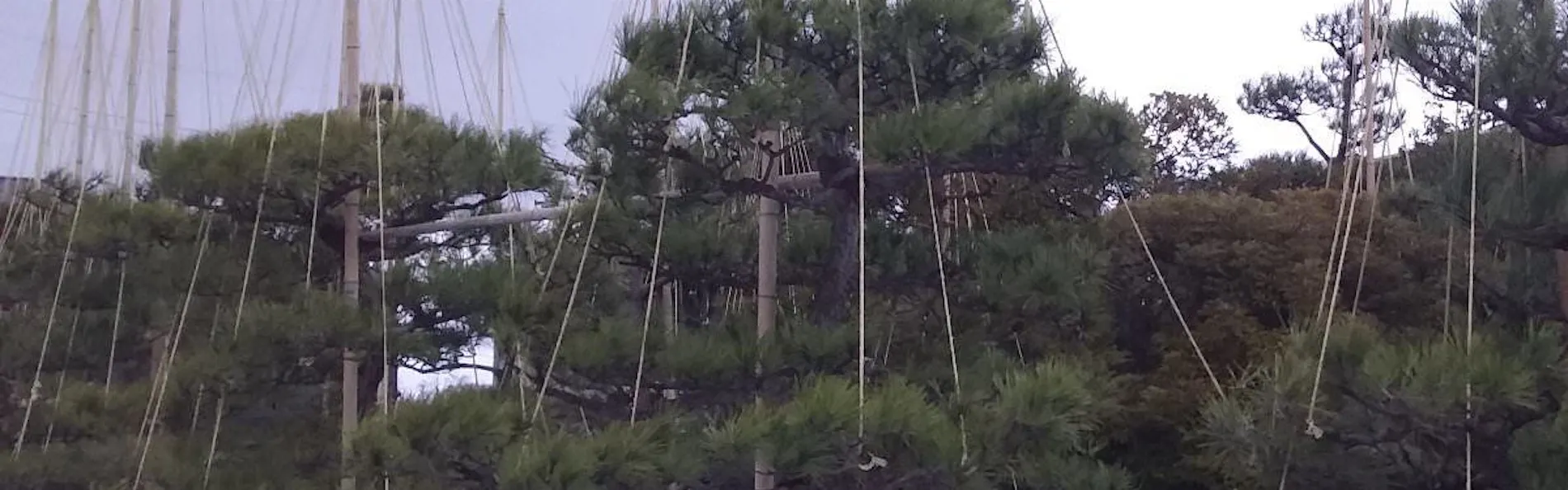 あわら温泉 まつや千千