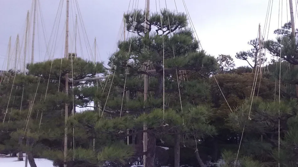 Awara Onsen Matsuyama Sensen