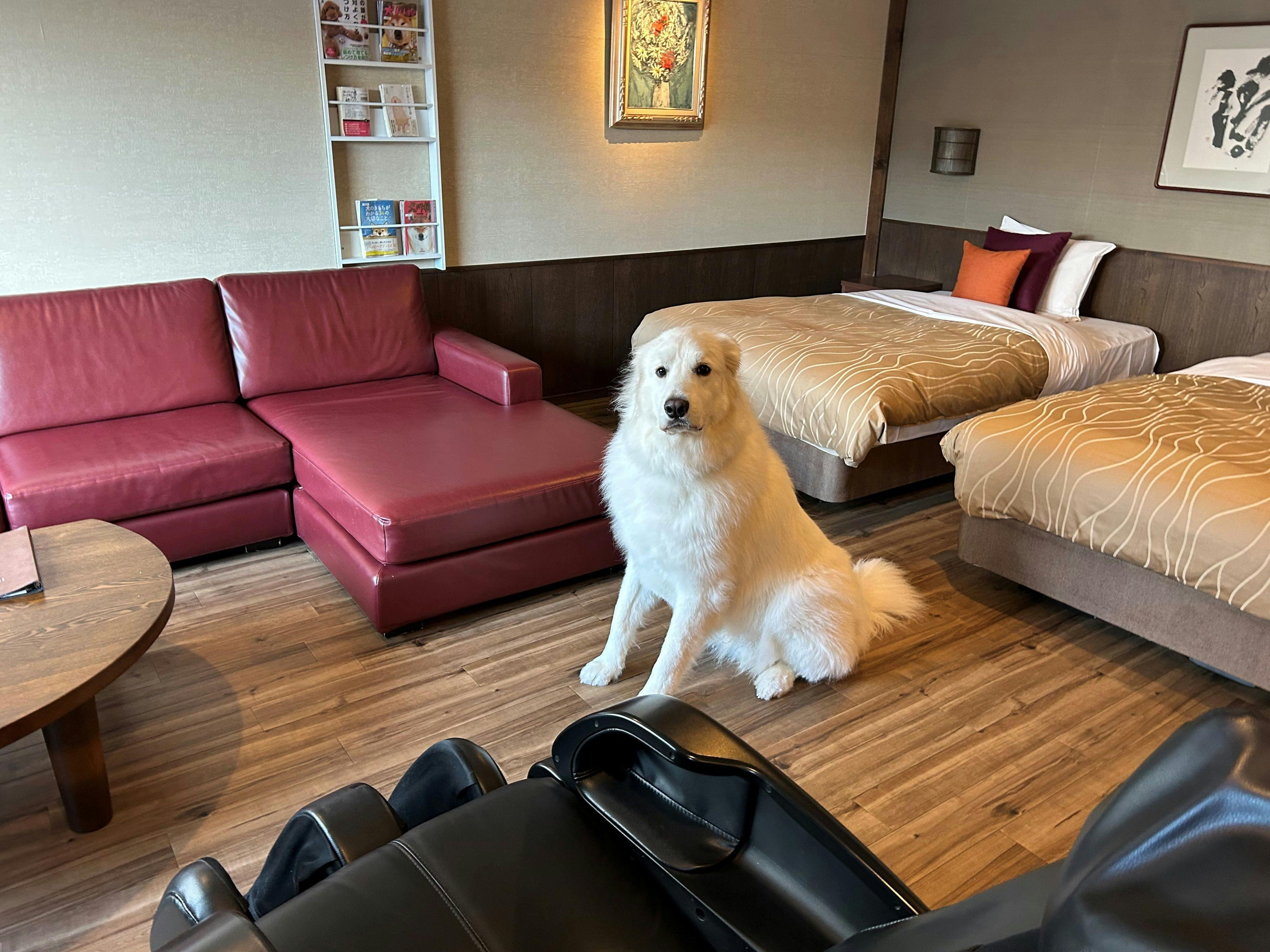 心のリゾート海の別邸ふる川