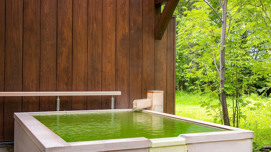 Okunikko Forest Hotel