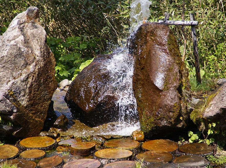 敷地内の湧き水