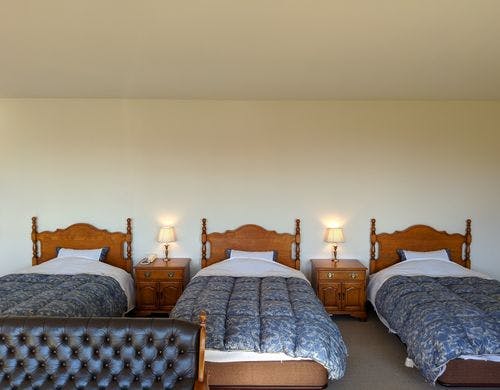 デラックストリプルルーム /　禁煙