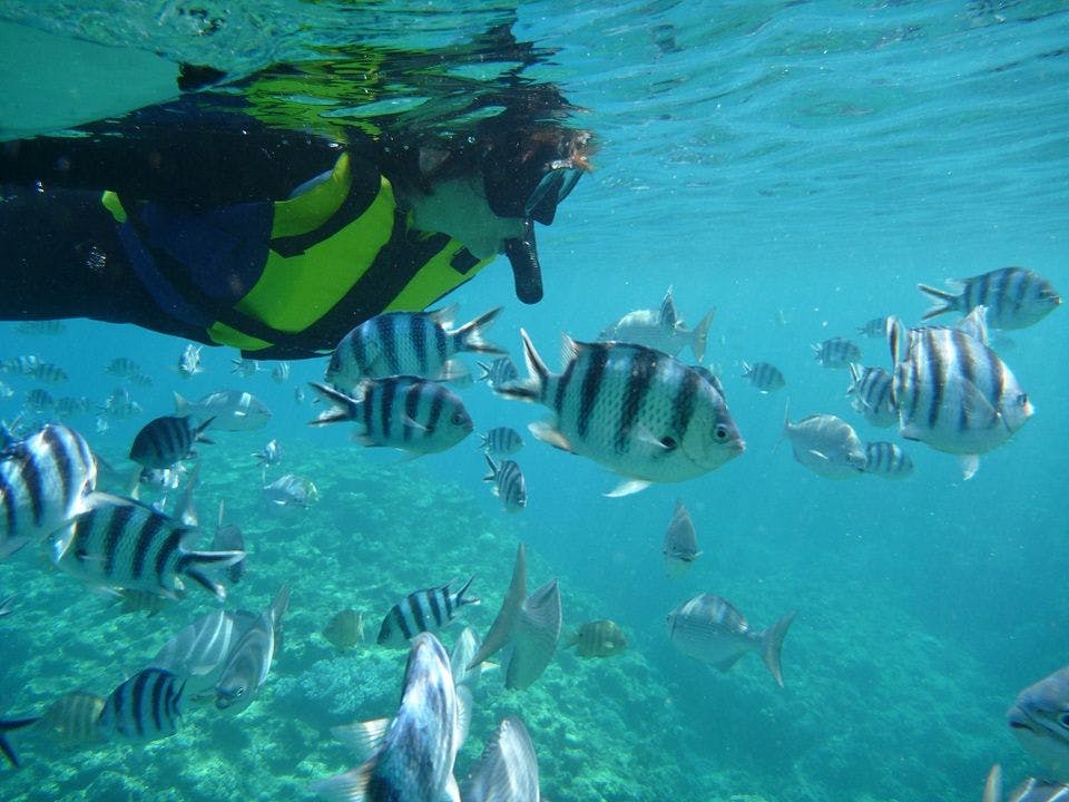 沖縄 青の洞窟 ダイビングショップ レイの宿で マリンアクティビティ をご紹介 最上のひとときをどうぞ 一休 Com