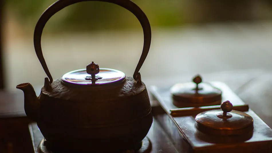 Ryotei Ryokan Yasui