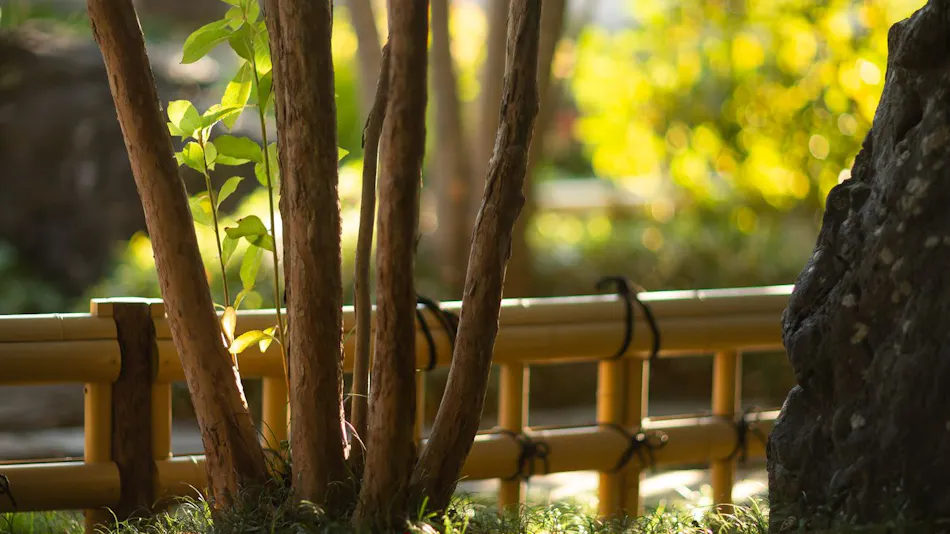 Ryotei Ryokan Yasui