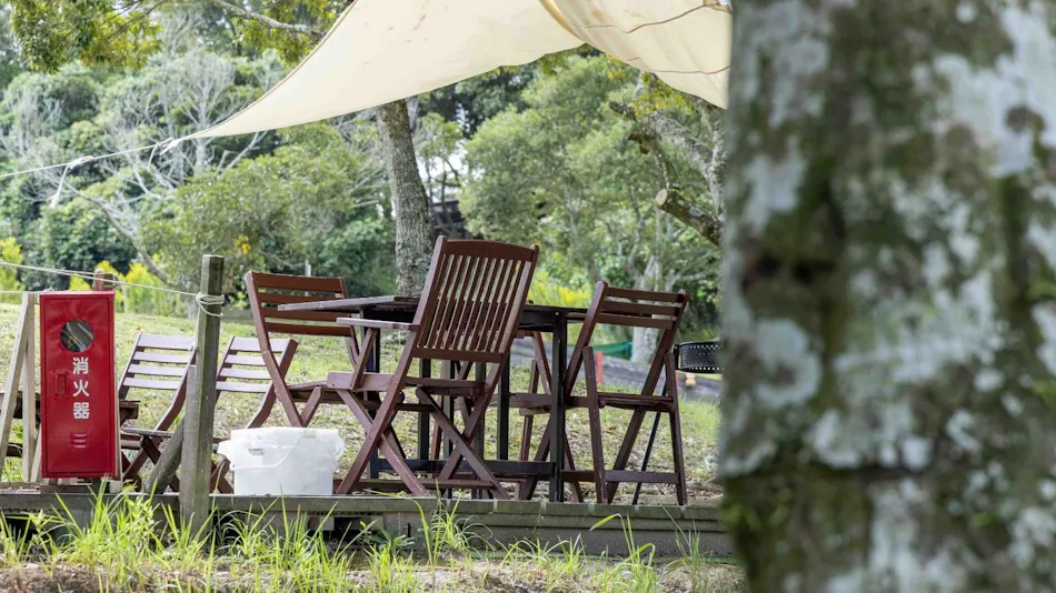 Camel Hotel Resort