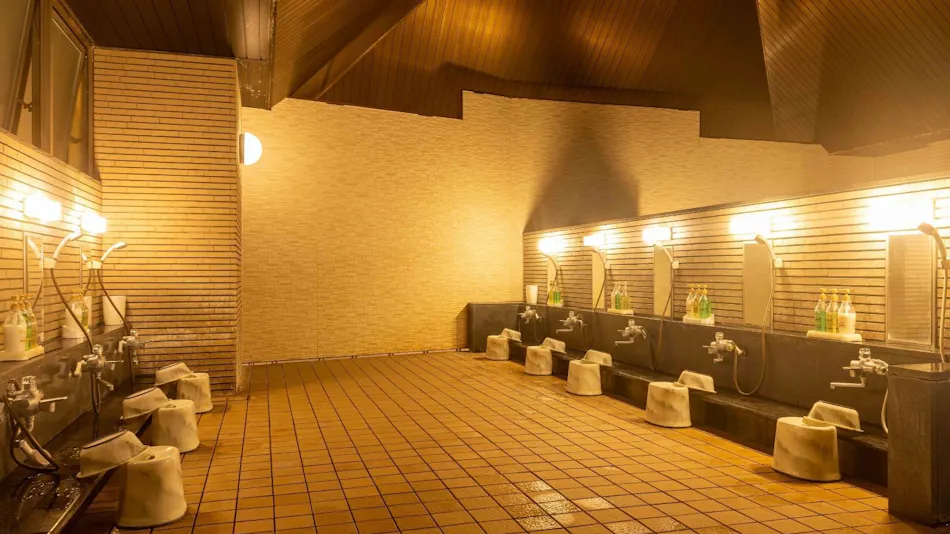 Camel Hotel Resort
