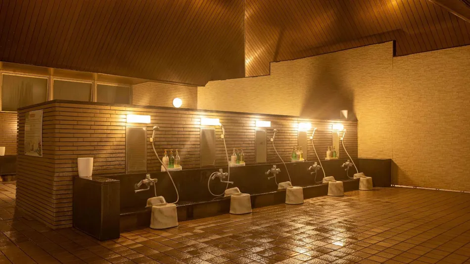 Camel Hotel Resort