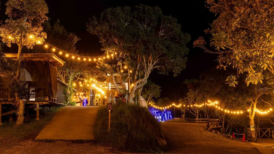 Camel Hotel Resort