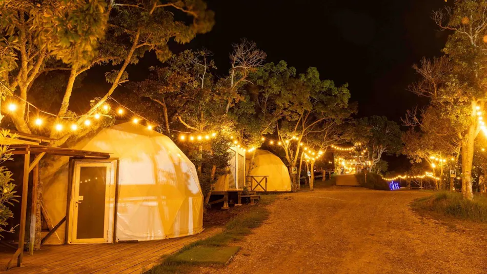 Camel Hotel Resort
