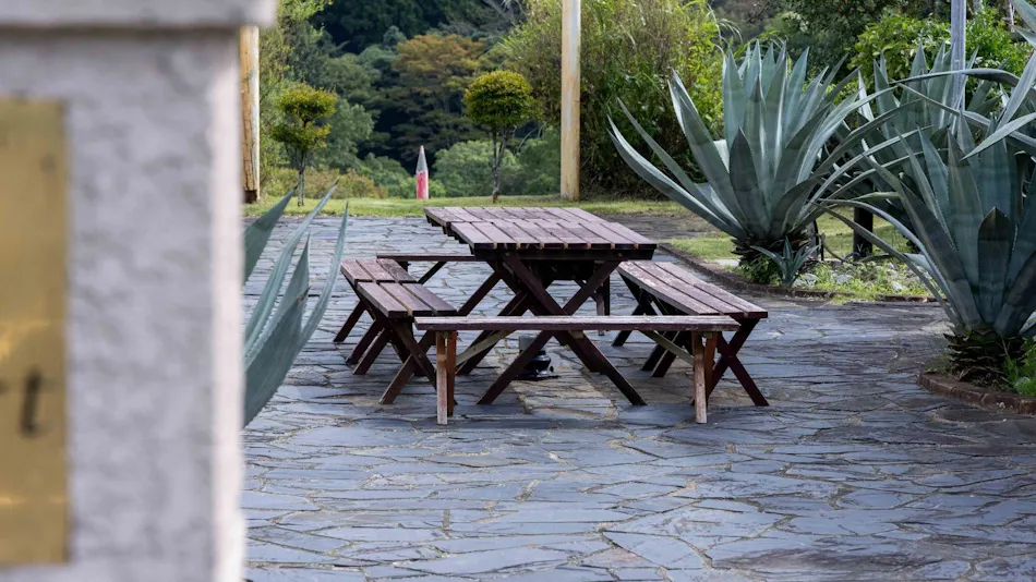 Camel Hotel Resort