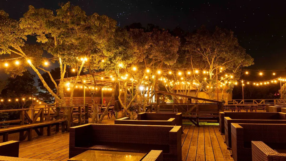 Camel Hotel Resort
