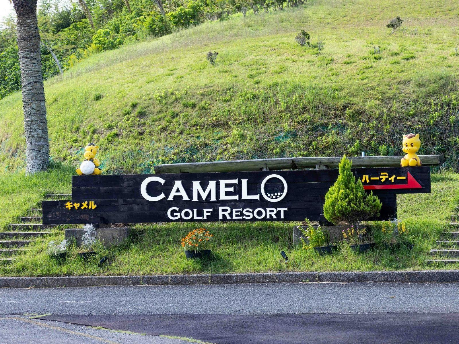Camel Hotel Resort