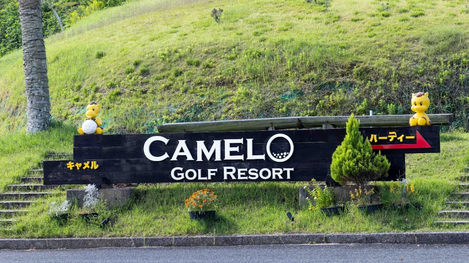 Camel Hotel Resort