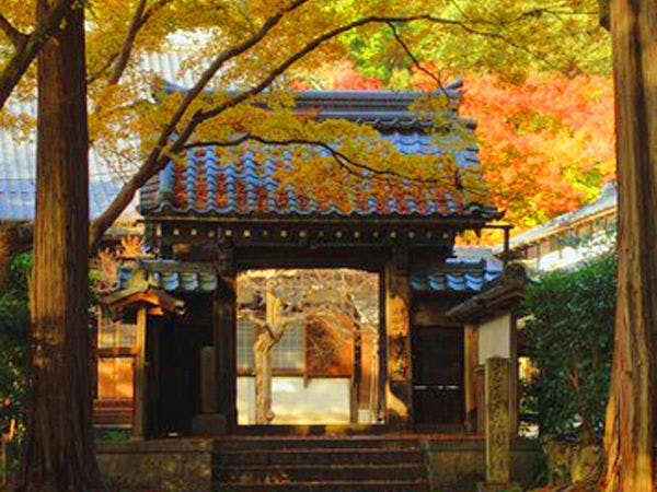 青岸寺　紅葉　ー例年12月上旬見頃ー