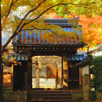 青岸寺 紅葉 ー例年12月上旬見頃ー