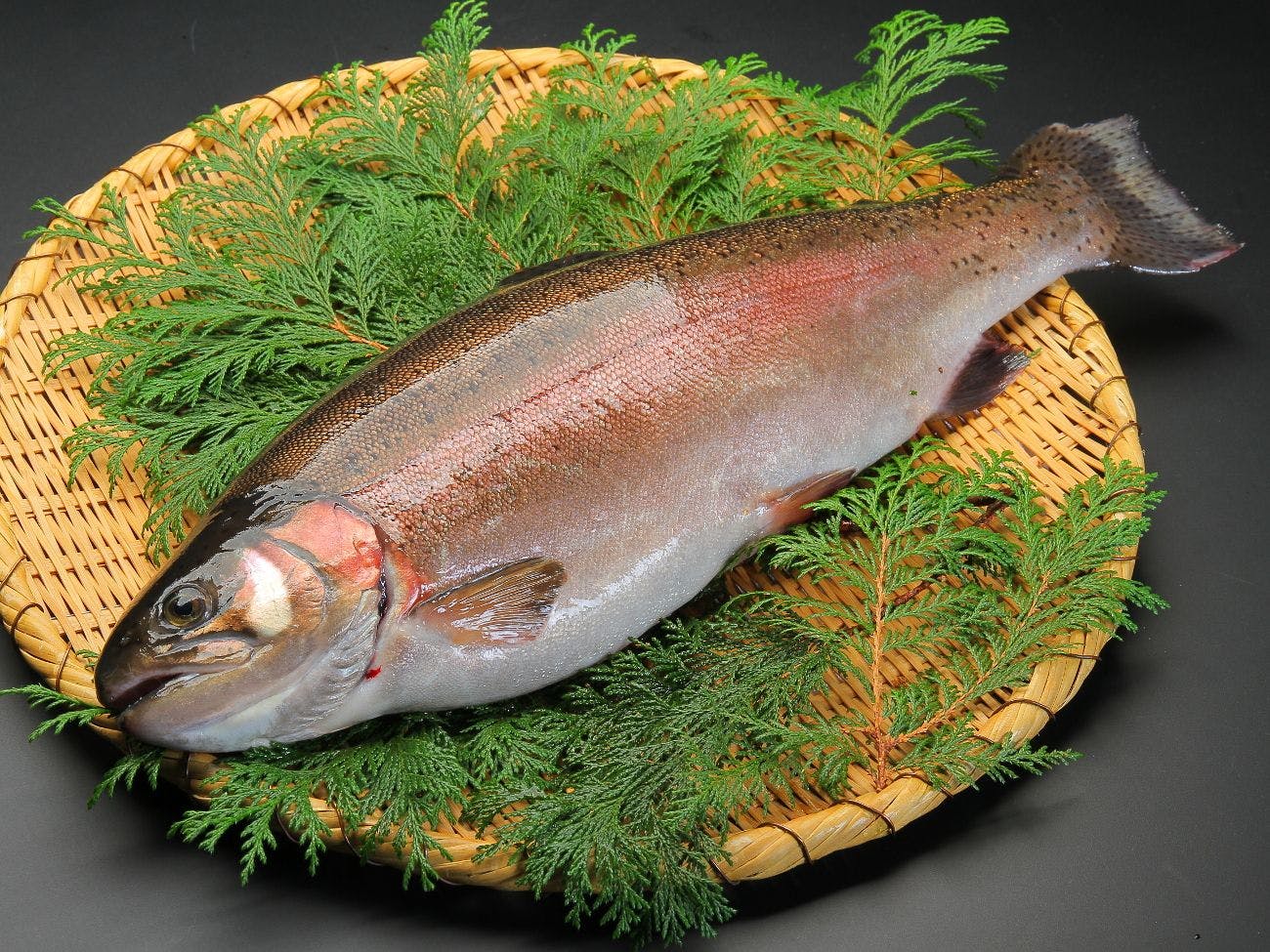 ぬくもりに心なごむ湯宿　星のあかり