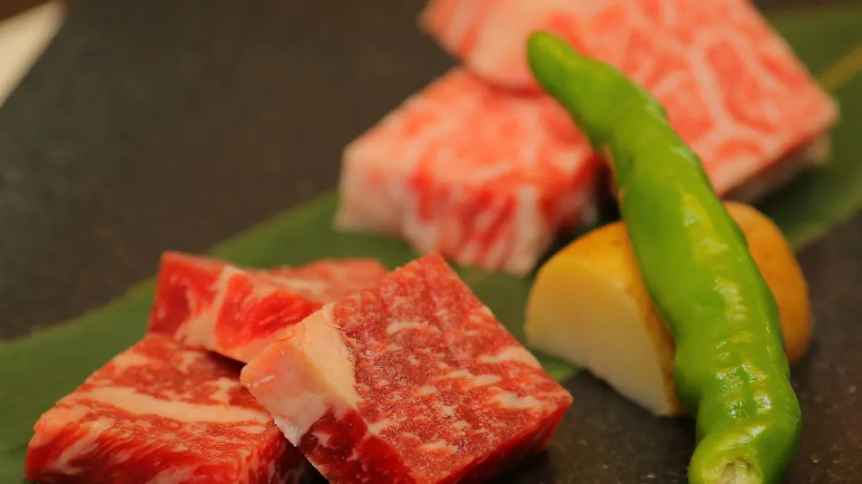 A Warm and Heartwarming Inn: Hoshi no Akari