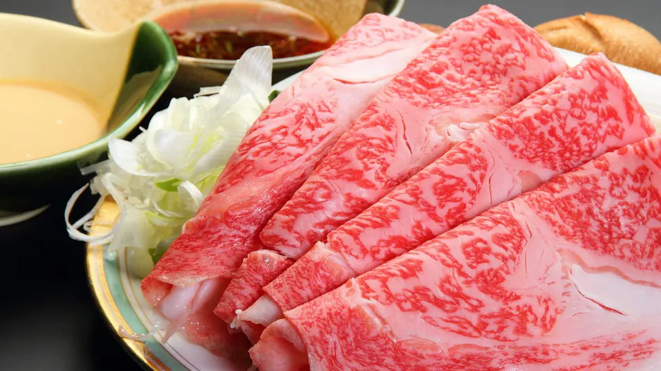 A Warm and Heartwarming Inn: Hoshi no Akari