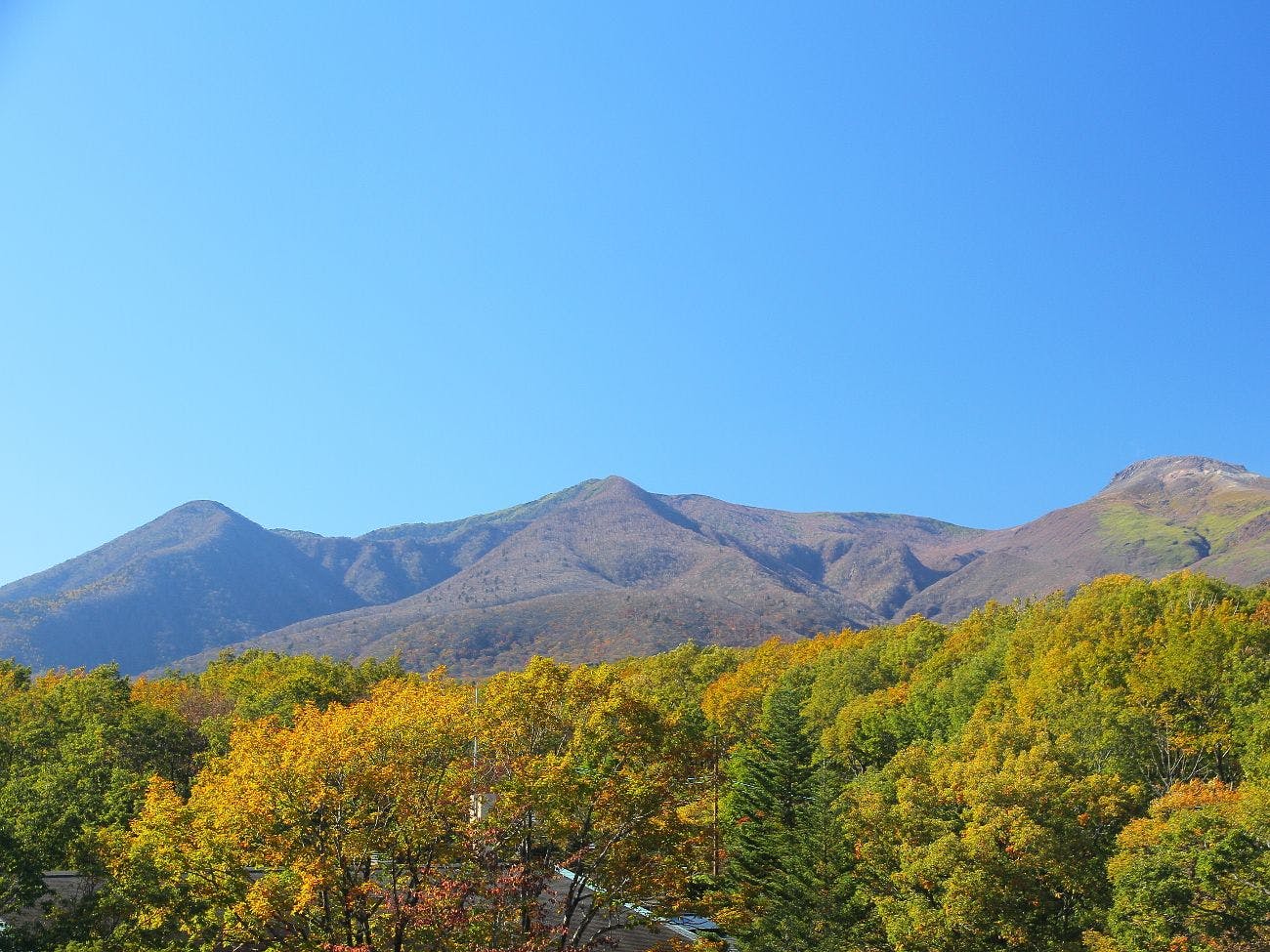 ぬくもりに心なごむ湯宿　星のあかり