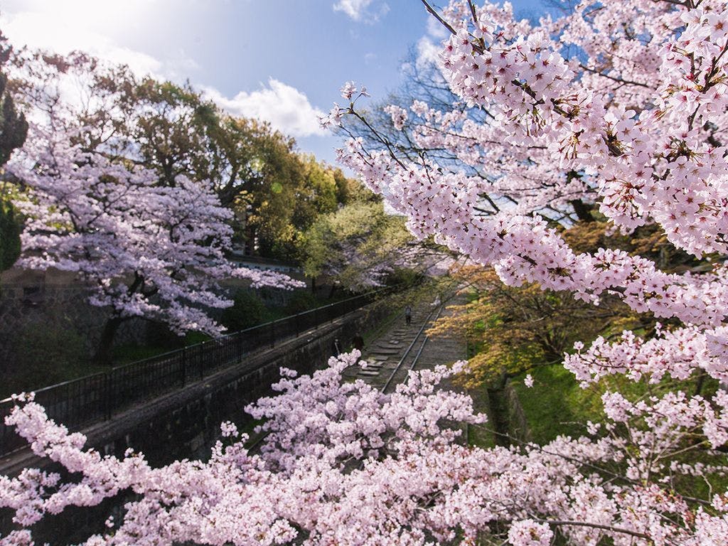 南禅寺 八千代