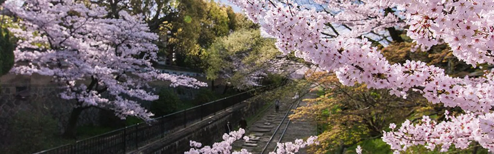 南禅寺 八千代